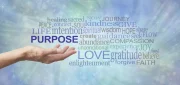 Divine Purpose