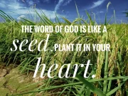 blog 3 page pic 2