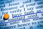 Faith